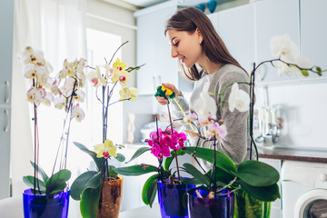 Woman spraying water on orchids on kitchen. Houswife taking care of home plants