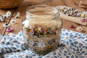 Preparation of common daisy syrup from fresh daisy flowers