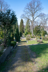 Blick über den Friedhof 