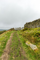 A forest path trail with wooden gate, stone wall and green vegetation under a white cloudy sky © Dolwolfian