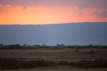 Beautiful sunset at Masai Mara wildlife century, Kenya