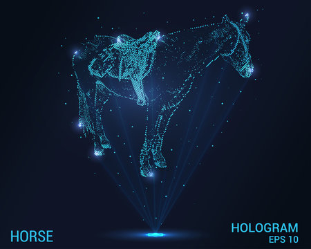 Horse hologram. Holographic projection of the horse. Flickering energy flux of particles. Research design a horse.
