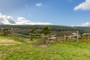 A view of a wooden walker gate with green vegetation, trees and hills in the background under a majestic blue sky and white clouds