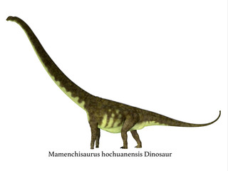 Mamenchisaurus hochuanensis Dinosaur Side Profile with Font - Mamenchisaurus hochuanensis was a herbivorous sauropod dinosaur that lived in China during the Jurassic Period. © Catmando