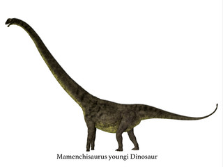 Mamenchisaurus youngi Dinosaur Side Profile with Font - Mamenchisaurus youngi was a herbivorous sauropod dinosaur that lived in China during the Jurassic Period.