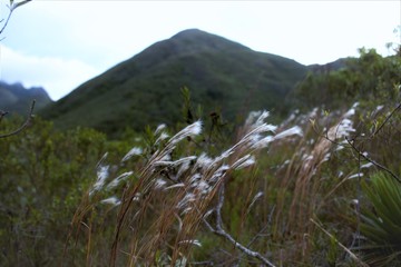 wind blowing in a hill