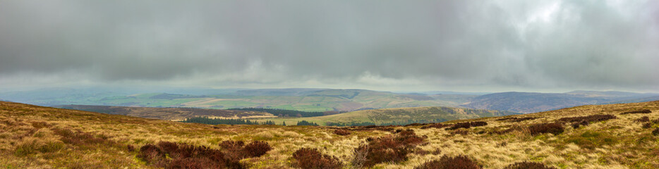 A panorama view of a hilly heather with a valley in the background under a white cloudy sky