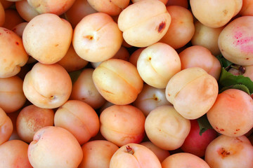 apricots at bazaar