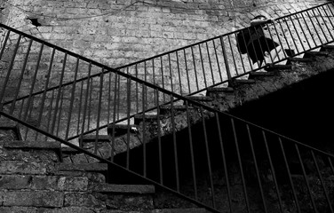 escalera