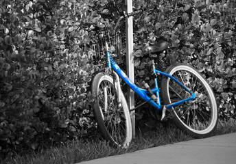 blue bike