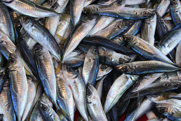 fish at bazaar