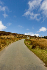 A view of a rural road lane and green vegetation under a majestic blue sky and white clouds