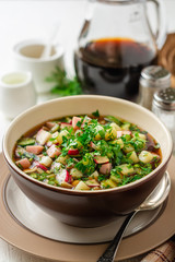 Traditional Russian summer cold soup okroshka with kvass in bowl on white concrete background. Selective focus.