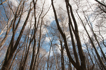 Obraz premium Moscow, Gorky Park, 