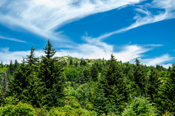 Clouds swirl across a mountain top on Grayson Highlands State Park.