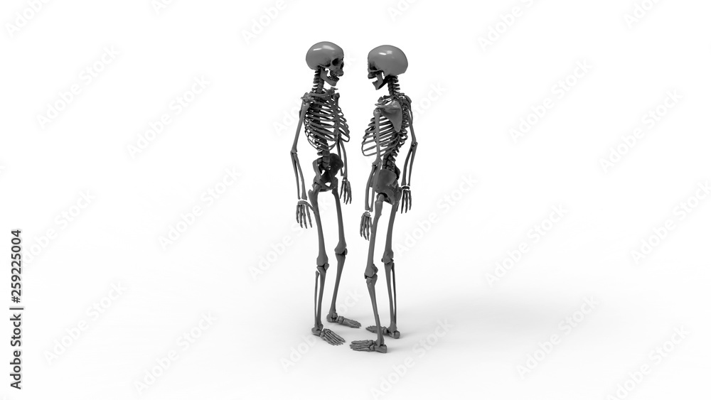 Poster 3d rendering - two skeletons looking at each other