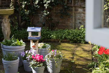 Spring Garden. Open Window in Sunny Day. Concept: Gardening.
