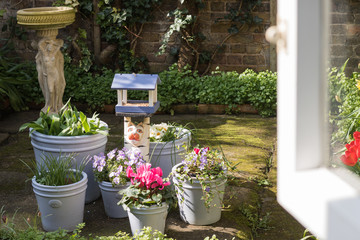 Open Window View to Flowering Colourful Old Garden in Sunny Day. Concept: Spring time. 