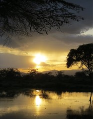 Abendstimmung im Camp