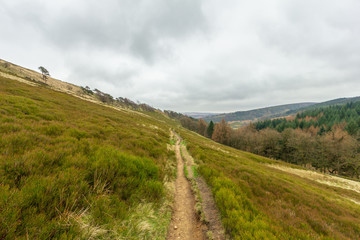 A view of a grassy slope hill with some naked trees along a dirt path trail under a white cloudy sky
