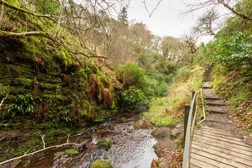 A view of a stream with grassy slope along a wooden stair under a white cloudy sky