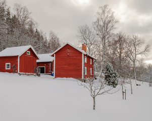 three red houses with snow on the ground and forest in the background