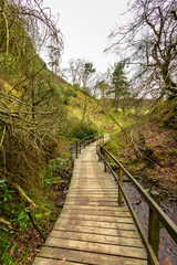 A view of a wooden path bridge  over a stream along naked trees and green vegetation under a white cloudy sky