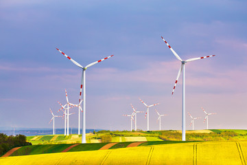 Spring yellow colza fields with wind power generators park