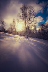 dreamy winter picture with sun shining through the forest on snowy field