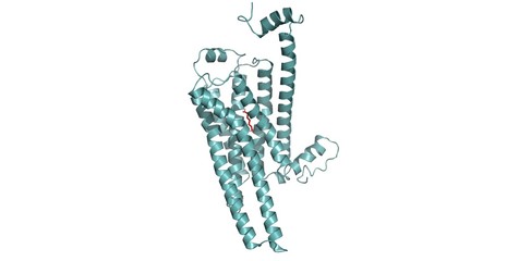 GPCR_TAAR6