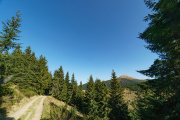 Landscape of Mount Hoverla is the highest mountain of the Ukrainian Carpathian Mountains, Chornohora