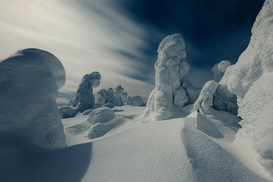 Snow covered trees and snowdrifts under moving clouds