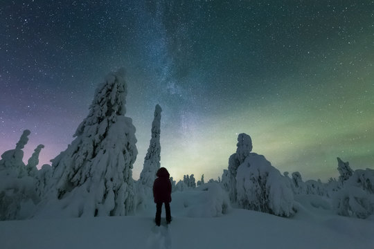 Rear view of person looking at northern lights