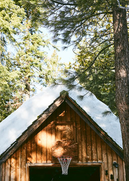 Snowy Cabin 