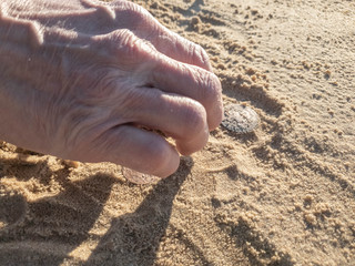 The Man is looking for coins in the sand. Search for antique coins.