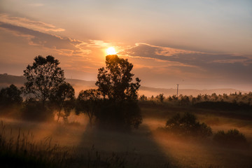 Beautiful morning in mountains. Thick fog covering the hills. Sunlight and rays trying to break through haze and trees