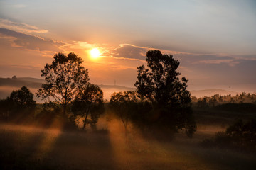 Obraz premium Beautiful morning in mountains. Thick fog covering the hills. Sunlight and rays trying to break through haze and trees