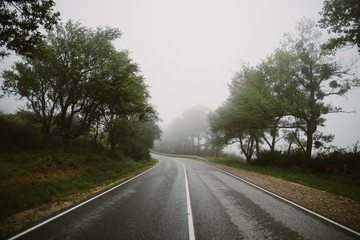 road in the forest