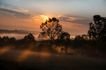 Beautiful morning in mountains. Thick fog covering the hills. Sunlight and rays trying to break through haze and trees