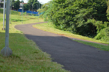 natureza sol lagoa verde ponte