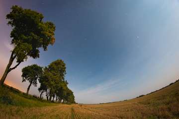 Bright starry sky over the harvest field