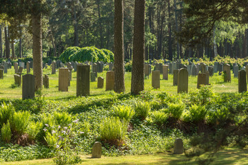 Graves, paths and decorations in the forest at the Forest Cemetery