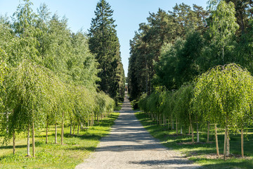 The Forest Cemetery in Stockholm is a large burial ground with forests, meadows and groves
