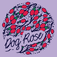 Dogrose vector circle pattern with lettering. Funny doodle healthy food on a light background.