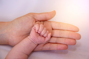Parent Holding in the Hands  baby Hand clenched into fist of Newborn Baby. Parent Care of Newborn Baby. Little Tiny Kid Fingers.	