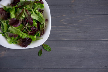 Plate with salad greens on a dark wooden background. Background for a banner of cooking, restaurant, cafe. Plate of salad greens, arugula, lettuce. Flat lay, top view.