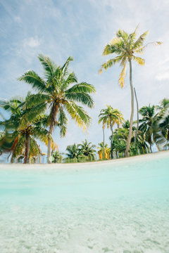 Lagoon view