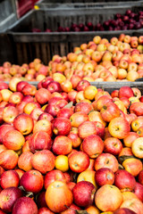 Fresh fruit in bins ready for sale in the mountains.