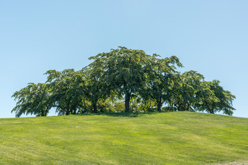 Almhöjden a memorial at the forest cemetery in Stockholm