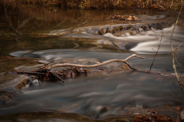 Water study